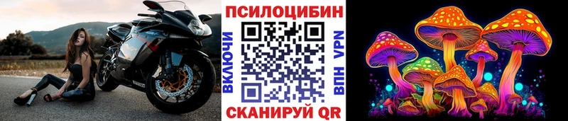 Псилоцибиновые грибы Psilocybe  Купить  Батайск 